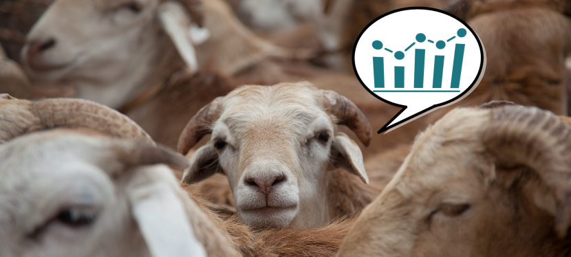 A new publication that explores the data behind popular livestock figures